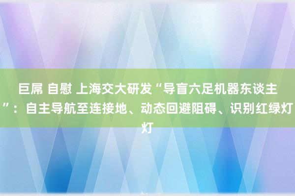 巨屌 自慰 上海交大研发“导盲六足机器东谈主”：自主导航至连接地、动态回避阻碍、识别红绿灯