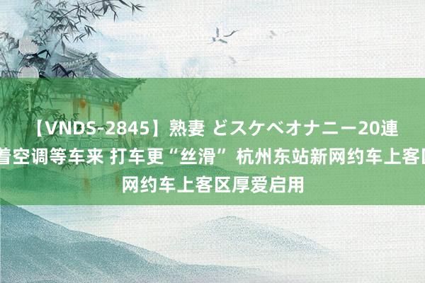 【VNDS-2845】熟妻 どスケベオナニー20連発！！ 吹着空调等车来 打车更“丝滑” 杭州东站新网约车上客区厚爱启用