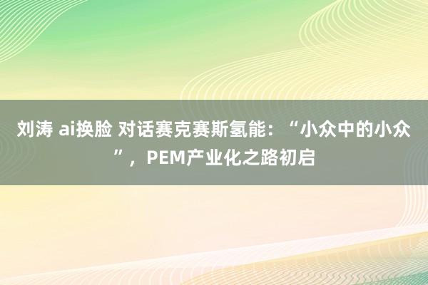 刘涛 ai换脸 对话赛克赛斯氢能：“小众中的小众”，PEM产业化之路初启