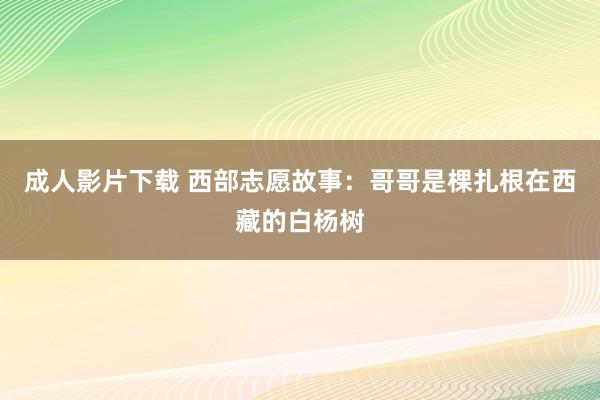 成人影片下载 西部志愿故事：哥哥是棵扎根在西藏的白杨树