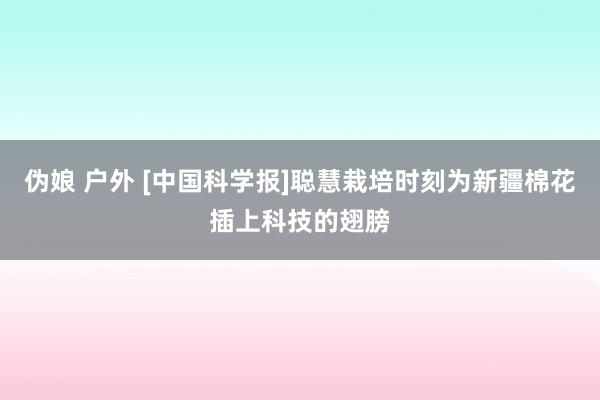 伪娘 户外 [中国科学报]聪慧栽培时刻为新疆棉花插上科技的翅膀