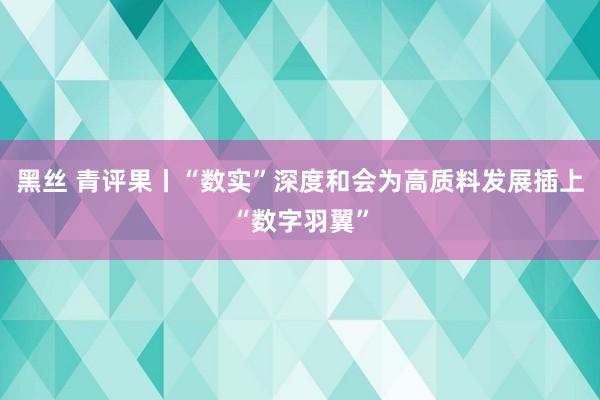 黑丝 青评果丨“数实”深度和会为高质料发展插上“数字羽翼”