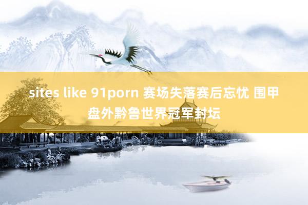 sites like 91porn 赛场失落赛后忘忧 围甲盘外黔鲁世界冠军封坛