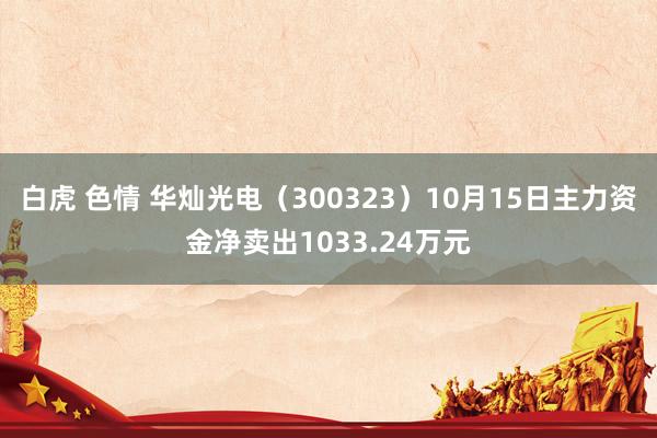 白虎 色情 华灿光电（300323）10月15日主力资金净卖出1033.24万元