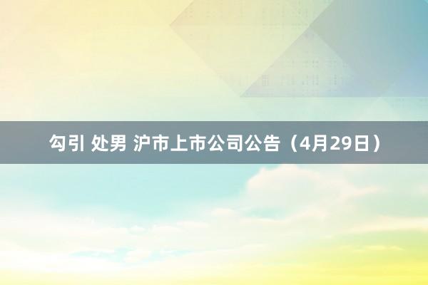 勾引 处男 沪市上市公司公告（4月29日）