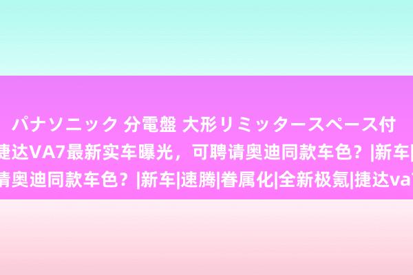 パナソニック 分電盤 大形リミッタースペース付 露出・半埋込両用形 捷达VA7最新实车曝光，可聘请奥迪同款车色？|新车|速腾|眷属化|全新极氪|捷达va7