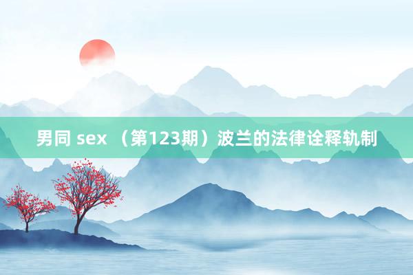 男同 sex （第123期）波兰的法律诠释轨制