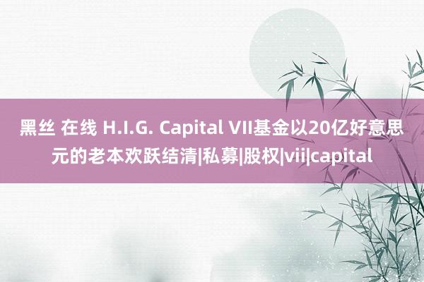 黑丝 在线 H.I.G. Capital VII基金以20亿好意思元的老本欢跃结清|私募|股权|vii|capital