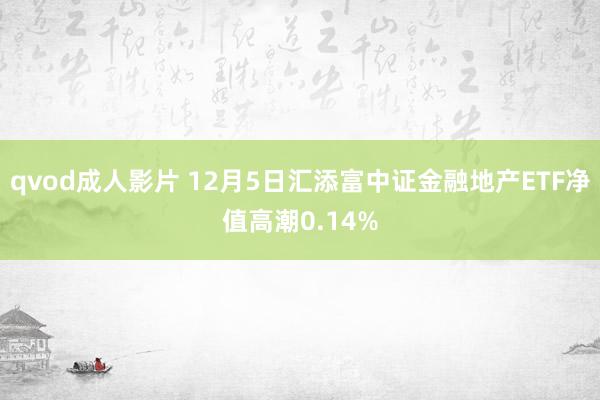 qvod成人影片 12月5日汇添富中证金融地产ETF净值高潮0.14%