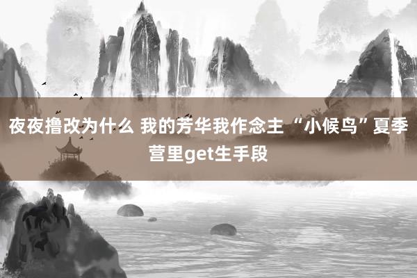 夜夜撸改为什么 我的芳华我作念主 “小候鸟”夏季营里get生手段